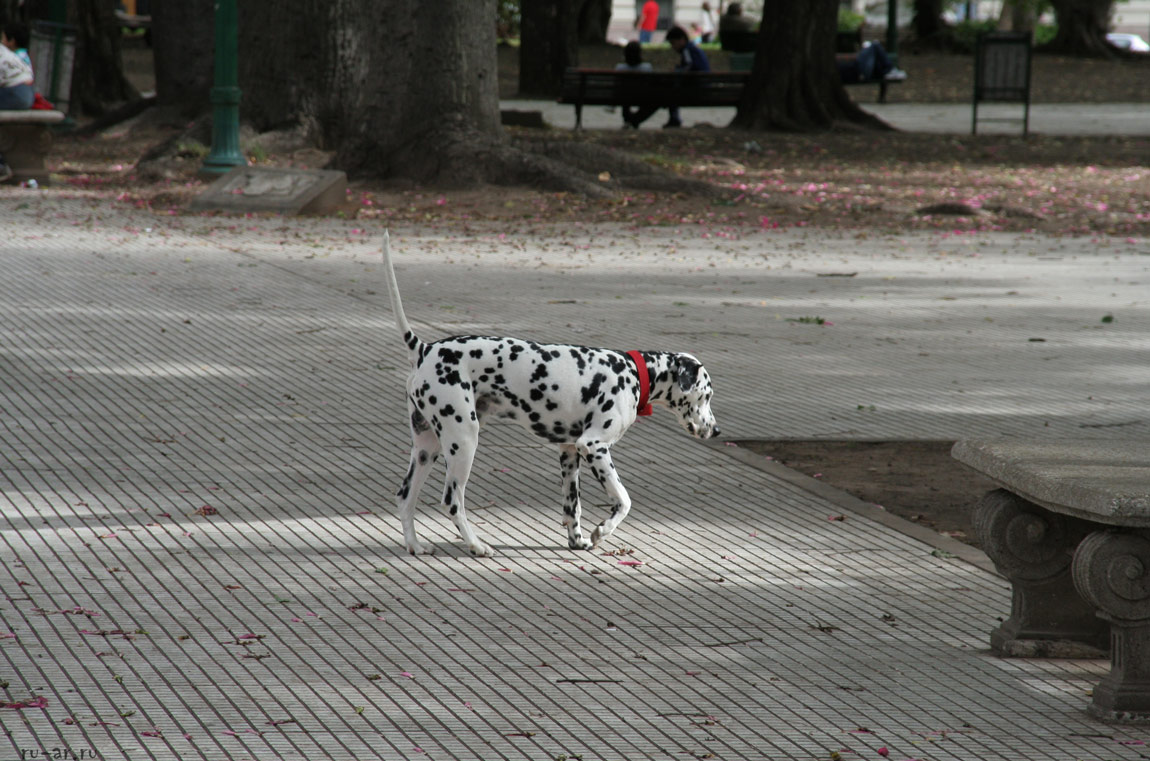 Площадь Сан Мартин, Буэнос-Айрес